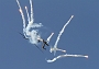 073 Apache demo